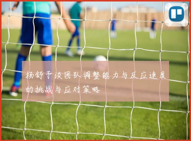 杨舒予谈团队调整能力与反应速度的挑战与应对策略