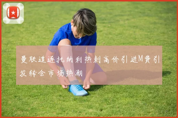 曼联追逐托纳利热刺高价引进M费引发转会市场热潮