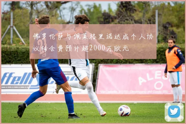 佛罗伦萨与佩莱格里诺达成个人协议转会费预计超2000万欧元