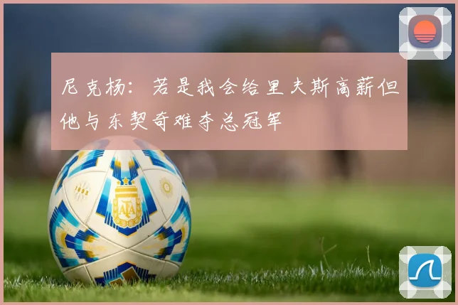 尼克杨：若是我会给里夫斯高薪但他与东契奇难夺总冠军